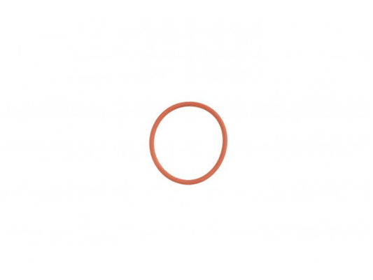 O žiedas termostato Lombardini 502 FOCS Progress