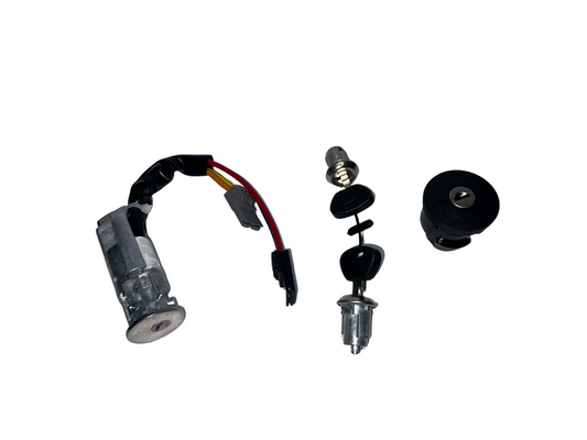 Užvedimo spynelės komplektas Ligier / Microcar / Due (2 jungtys)
